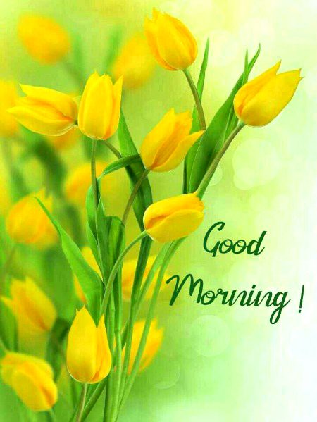 Good morning