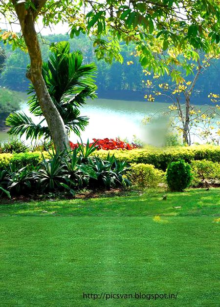 Beautiful Nature image