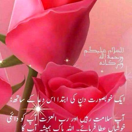 Good morning