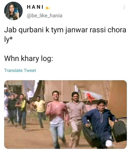Memes & Satire image