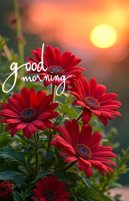 Beautiful Nature image