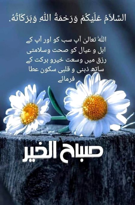 Good morning