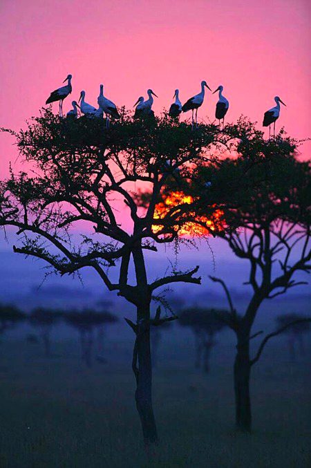 Beautiful Nature image