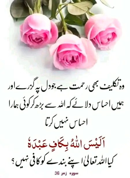 Islamic Quotes image