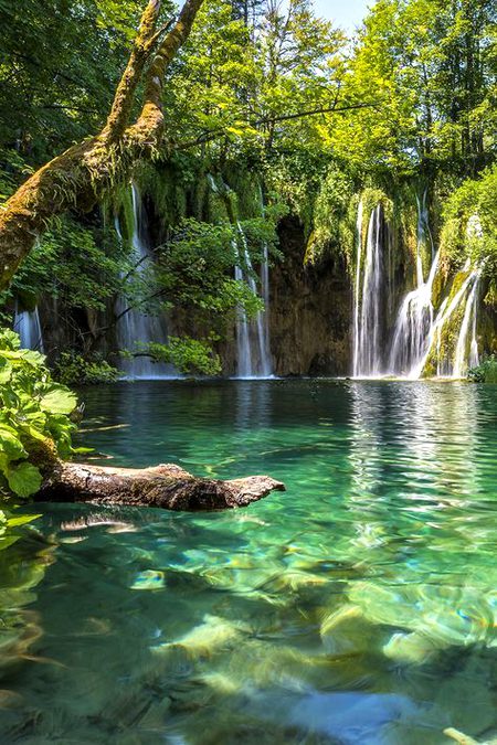 Beautiful Nature image