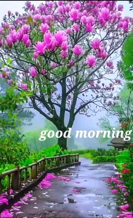 Beautiful Nature image