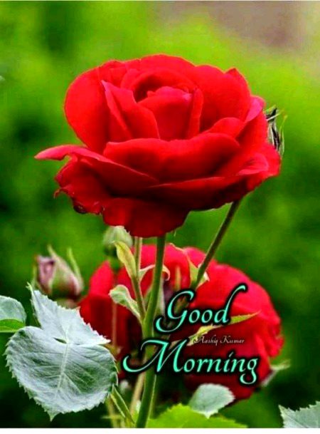 Beautiful Nature image