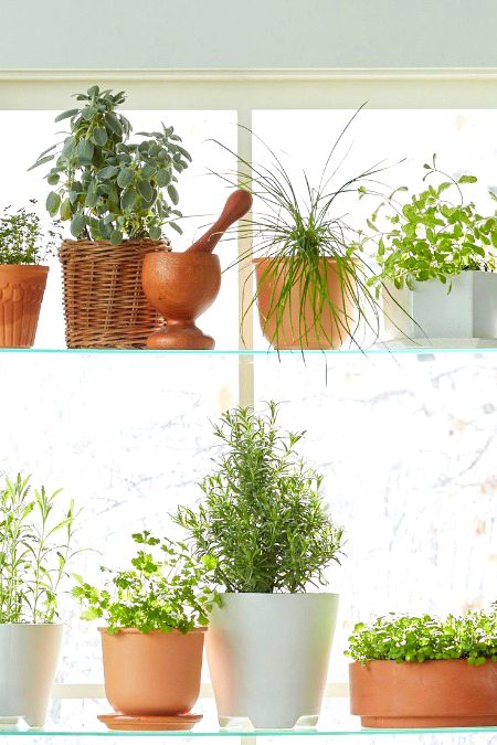 Beautiful Nature image