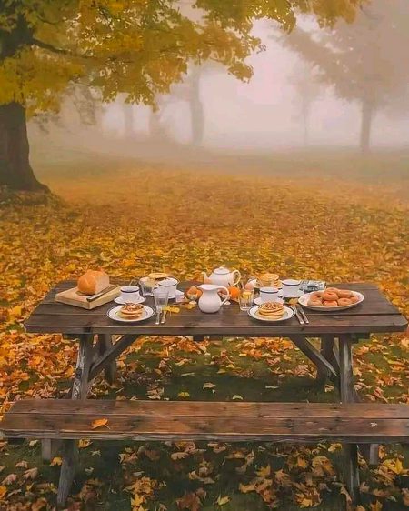 Good morning