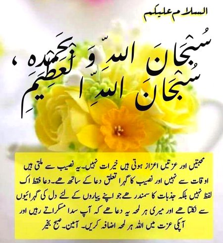 Good morning