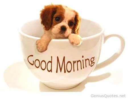 Good morning