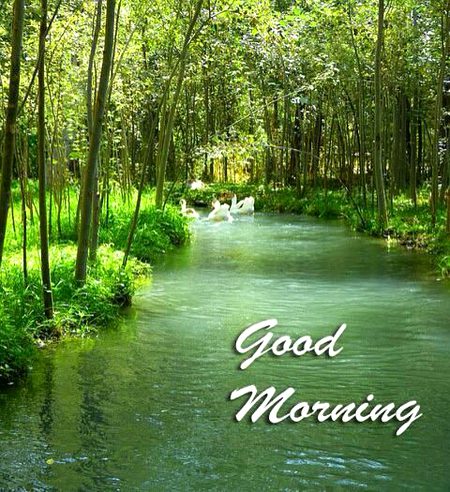 Beautiful Nature image