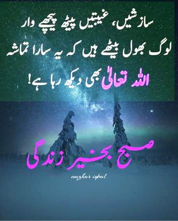 Islamic Quotes image