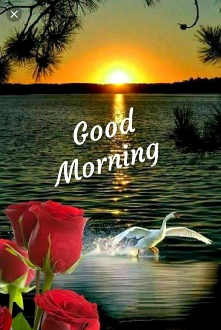 Beautiful Nature image