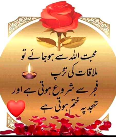 Islamic Quotes image
