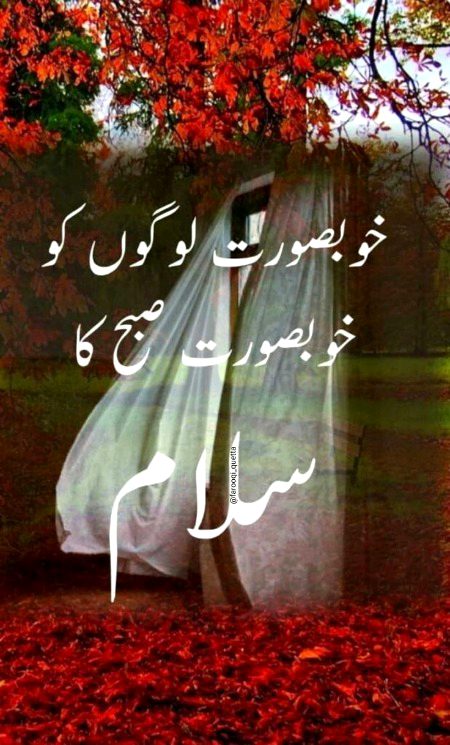 Beautiful Nature image