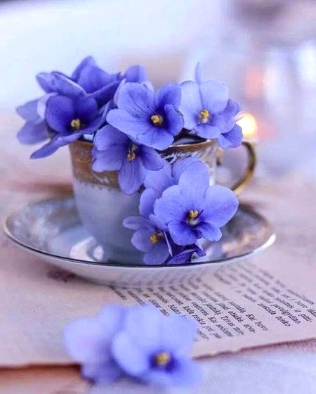 Beautiful Nature image