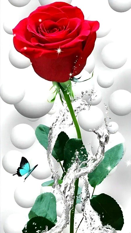 Beautiful Nature image