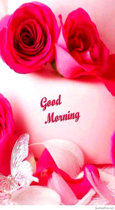 Good morning