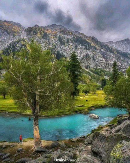 Beautiful Nature image