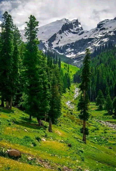 Beautiful Nature image