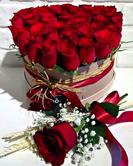 Beautiful Nature image