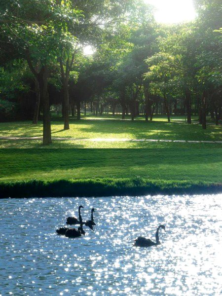 Beautiful Nature image