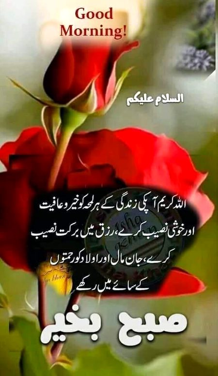 Good morning