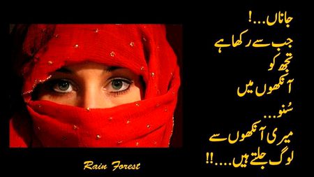 Romantic Poetry image