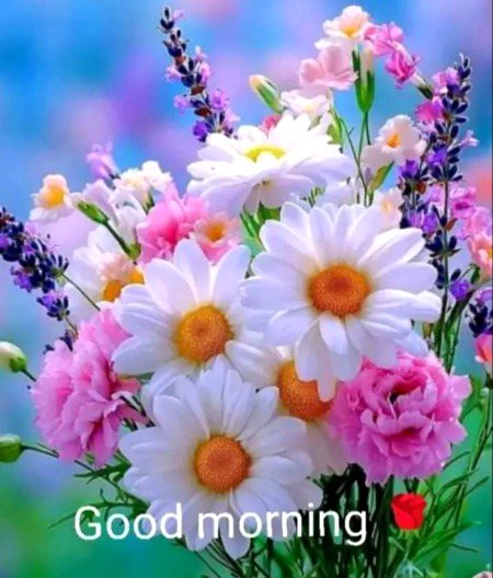 Beautiful Nature image