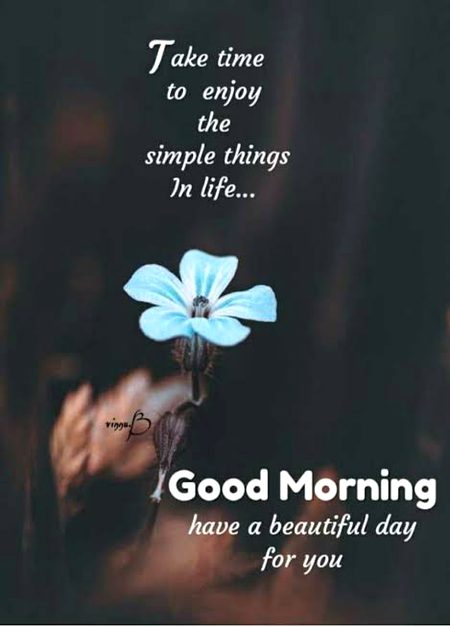 Good morning