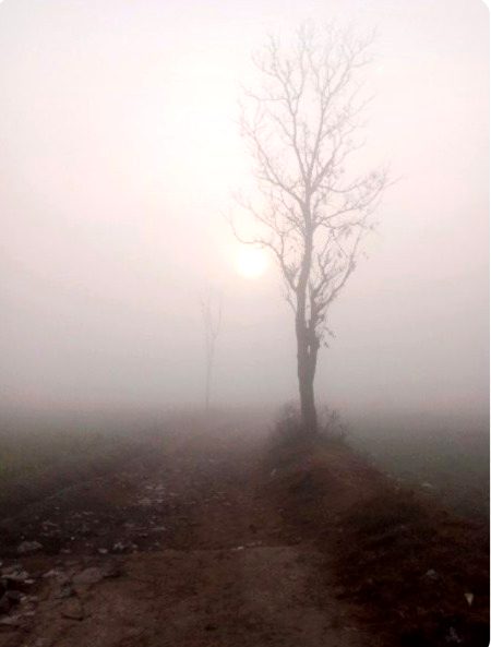 Beautiful Nature image