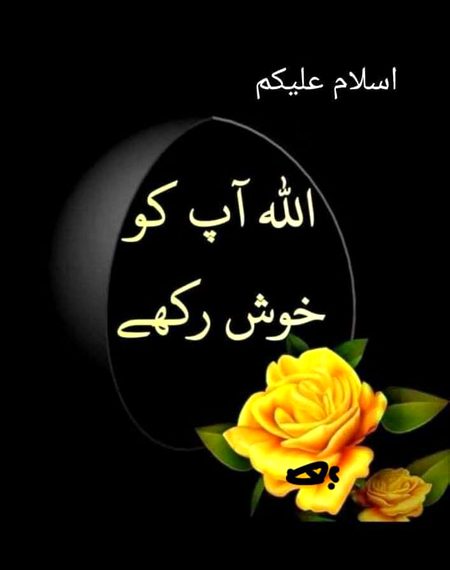 Good morning