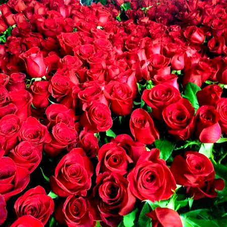 Beautiful Nature image