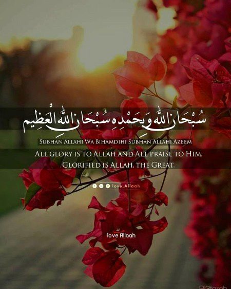 Islamic Quotes image