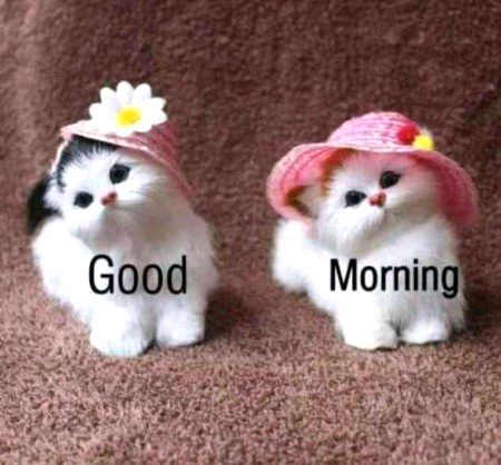 Beautiful Nature image