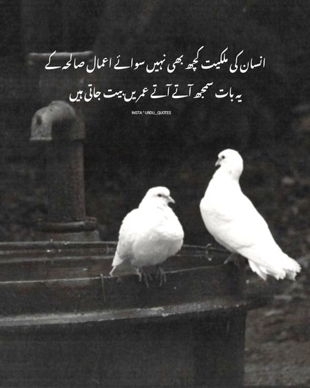 Motivational Quotes image