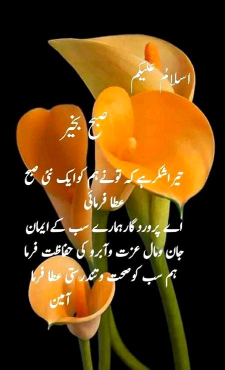 Islamic Quotes image