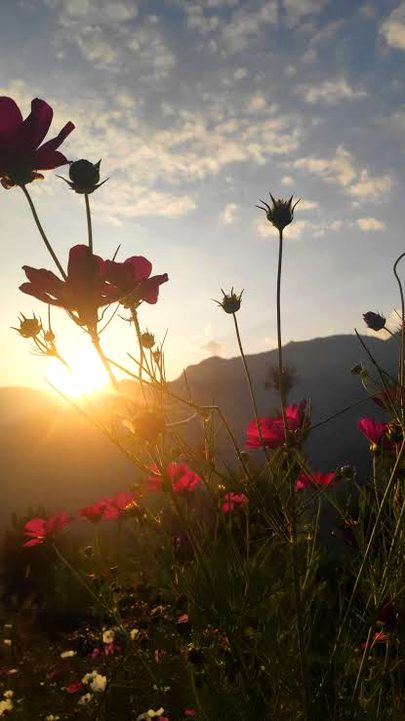 Beautiful Nature image