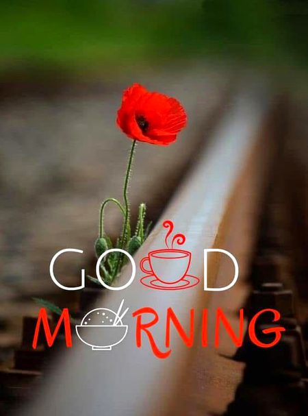 Good morning