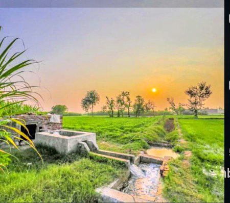 Beautiful Nature image