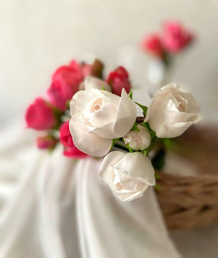 Beautiful Nature image