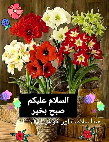 Beautiful Nature image