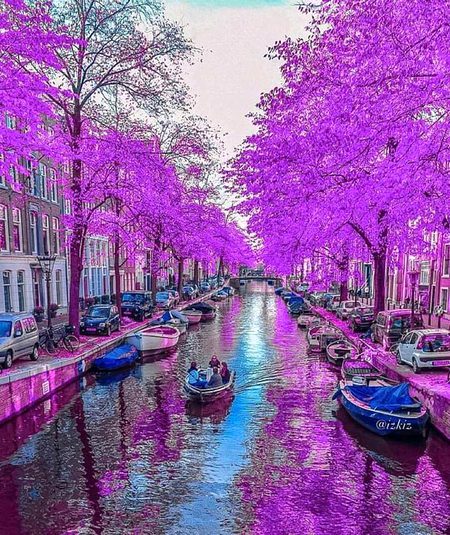 Beautiful Structures image