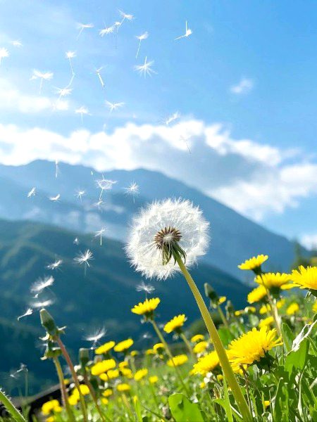 Beautiful Nature image