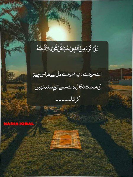 Islamic Quotes image