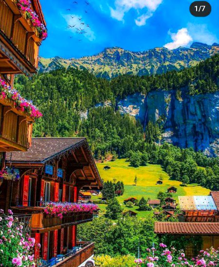Beautiful Nature image