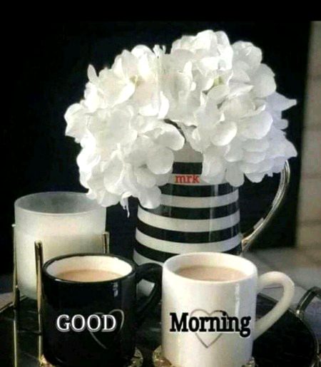 Beautiful Nature image