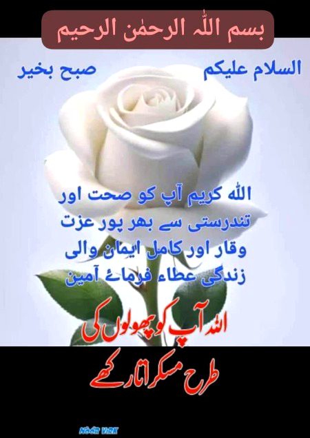 Good morning