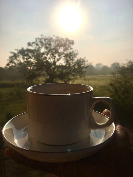 Beautiful Nature image